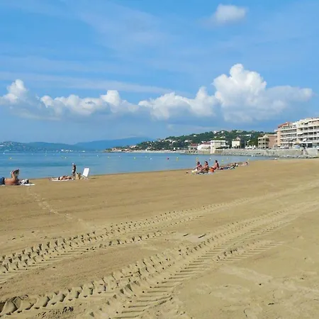 Les Perles De Saint Tropez - Caz011002-dyd *